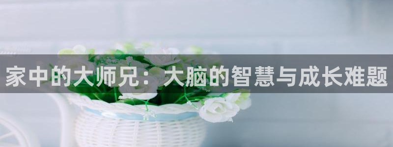 虫虫漫画网韩漫漫画大全：家中的大师兄：大脑的智慧与成长难题